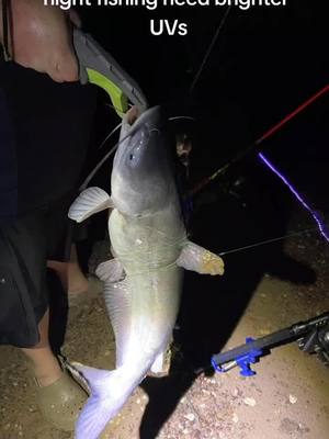 A post by @texas_timmy_outdoor on TikTok caption: #lakelife #madkatz #texas #catfish #bluecat