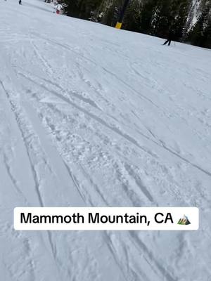 A post by @dand82 on TikTok caption: I miss the snow sometimes. #mammoth #mammothmountain #snowboarding #fyp #skiing #greenscreenvideo 