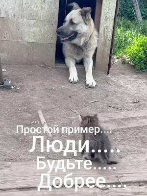 A post by @konfetka7242 on TikTok caption: #этотден