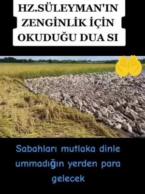 A post by @umudayolculuk2828 on TikTok