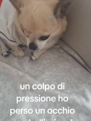 A post by @ficopaolo on TikTok