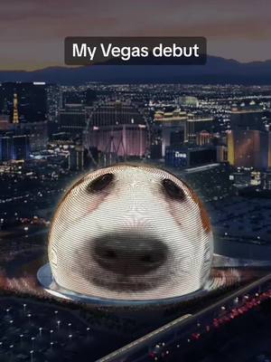 A post by @lucyfur_ocius on TikTok caption: In sphere-o-vision #lasvegassphere