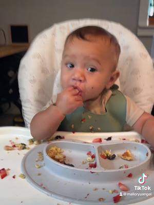 A post by @malloryyangel on TikTok caption: Half the video deleted smh but zains first time eating pancakes and scrambled eggs with spinach 🩵 as yiu can tell he loved it lol