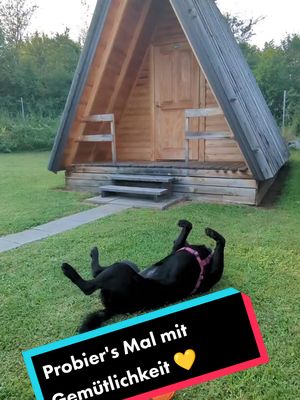 A post by @marleysfunnylife on TikTok caption: Probier's Mal mit Gemütlichkeit 😊 #dogprincess #dogsoftiktok #summertime  #doglover #marleysfunnylife #happydoghappylife #dogmumslife #chillerdog #marleysfunnylife #holidaywithdog 