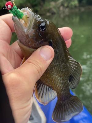 A post by @austinj_6 on TikTok caption: #ontheriver #nature #peaceful #fishing 