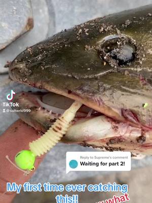 A post by @saltwrld999 on TikTok caption: Replying to @Supreme  WHAT FISH IS THIS!! This is the same fish that i lost last video!! This is my first time ever catching this fish!!!! Music by @Callixtus OLA  go stream his new album LINK IN BIO #saltwrld999 #fishtok #fishinglife #fishingtips #rochesterny #fyp #jigfishing #tubejig #followformore 