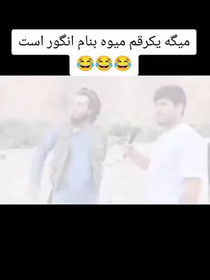 A post by @ii.omid.ii on TikTok caption: کیا انگور ره نمی‌شناسن😂😂😂😂😂 #🇦🇫🇦🇫🇦🇫 #لایک_فالو_یادتان_نره_عزیزان_دل❤️ #تاجک__اوزبگ__پشتون__هزاره__ترکمن #افغانستان #تیک_تاک_افغانی 