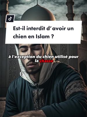 A post by @enes.rappel on TikTok caption: Est-il interdit d’avoir un chien en Islam ? #islam #rappel #prophete #religion #allah 