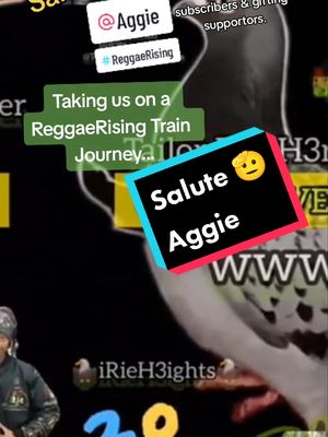 A post by @reggaerising on TikTok