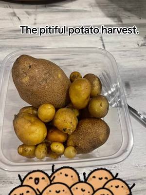 A post by @sciencemama on TikTok caption: First ever potato “hervest” 🤦‍♀️ #gardenfail #ohwellitried 