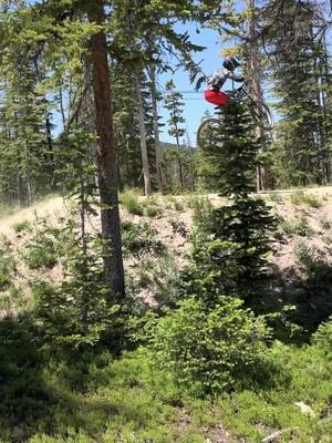 A post by @biking_4_life on TikTok caption: TRESTLE!!! #fypシ #mtblife #mtb #foryoupage #viral #blowthisup #bike #jump #skills