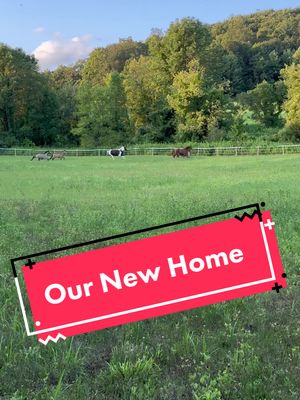 A post by @redraven2021 on TikTok caption: Ive been quiet because… We moved! We bought a house on 83 acres and have spent the last 20 days putting up fences, building a run-in, unpacking, dealing with torrential rain and huge storms- all to bring the horses home 🥰  they seem to love it, I love having them here, and we have so much more to do but this is dreams coming true. #horselife #equestrianlife #farming #farmlife #homesweethome #fyp #foryou #foryoupage