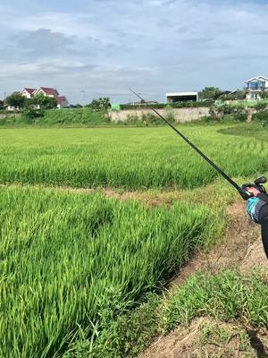 A post by @30415943129 on TikTok caption: បបក់អត់បានមានតែចឹង😮‍💨បានសំឡេងយោងគ្រាន់មានកម្លាំងចិត្តបបក់តទៀត😁DC and DaiWa