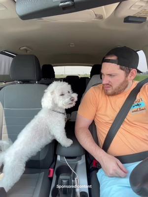 A post by @patrickbarnes on TikTok caption: Who needs music when you can have dog-approved podcasts? Embark on an unforgettable road trip w/ @Audible & your furry co-pilot #sponsored 