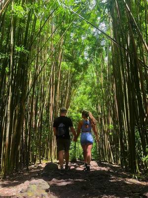 A post by @jennie_soyoung on TikTok caption: Maui get away 💕 #mauihawaii #bambooforest #waterfall 