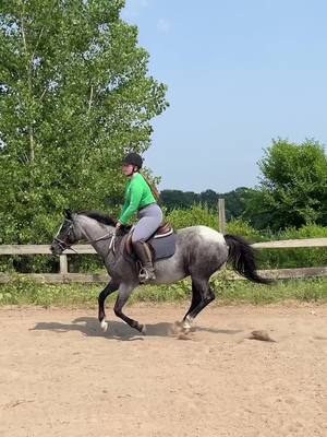 A post by @18equestrian on TikTok caption: First time riding since November! Thanks Hattie