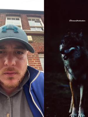 A post by @kanbei_ak_762 on TikTok caption: #duet with @Lone wolf Motivation #LifeAdvice 