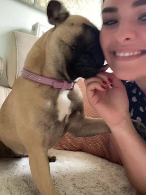 A post by @justine_p29 on TikTok caption: 🥰❤️ #frenchbulldog #bouledoguefrancais #bouledogue #bouledoguechiot #frenchie  #bouledoguefrancaischiot #chien #dog  #chiot #frenchie #franchiesofinstagram  #dogsofinstagram #frenchielove #bulldog #frenchbulldogsofinstagram  #frenchiesociety #frenchbulldogs #bulldogfrances #dogstagram #bulldogs #doglover #instadog #bully