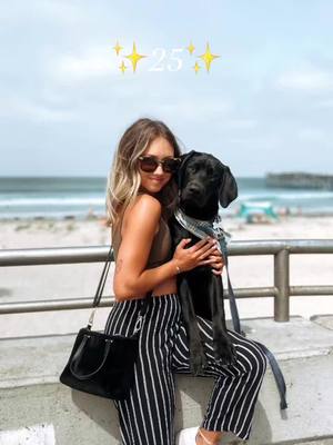 A post by @cjandjay on TikTok caption: My 25 🥹#dogsofttiktok #blacklab #labpuppy  