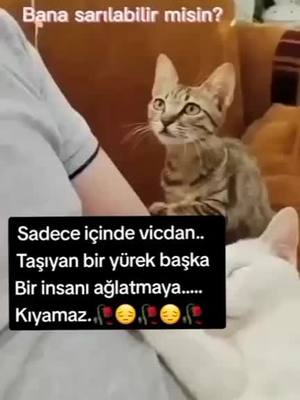 A post by @umudayolculuk2828 on TikTok