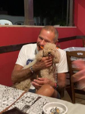 A post by @mayottina on TikTok caption: #amorepuro #tantibacini #poodlelove 