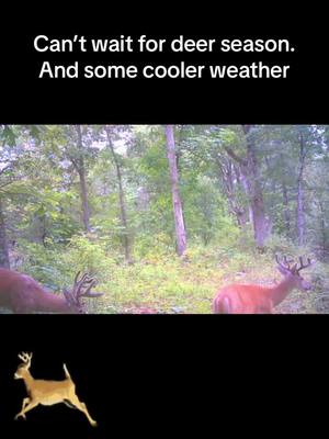 A post by @deer.hunter590 on TikTok caption: Can’t wait till deer season and some cooler weather.