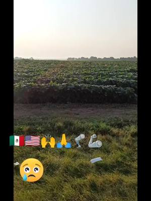 A post by @alfredomeza202 on TikTok caption: #graciassanjudastadeo🍀 #parati #trabajos_de_campo_en_usa 🇲🇽🇺🇲