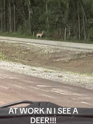 A post by @datdopeceo on TikTok caption: #datdopeceo #security #plantpost #demdeer