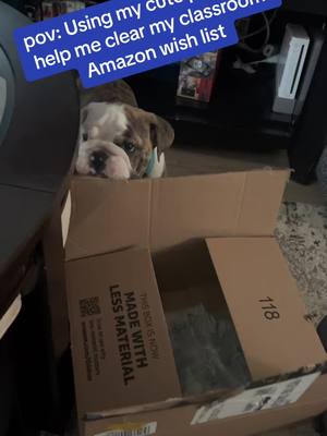 A post by @oaklandtakesover on TikTok caption: Going into my first year of teacher. Many people suggested I make a classroom wishlist and share it so I’m giving it a try! #amazonwishlist #fyp #johnclearmylist #teachertok #puppy #englishbulldog 