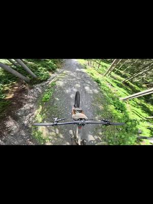 A post by @timgitterle on TikTok caption: Überholen erlaubt?🔥#schladming #madness #downhill #Summer #fullsend #mtb #vibes #closecall #gofastdontdie #gohardorgohome #pivotphoenix29 