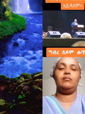 A post by @mehirtdeseta on TikTok caption: #duet with @መሲ132819 #Duet 