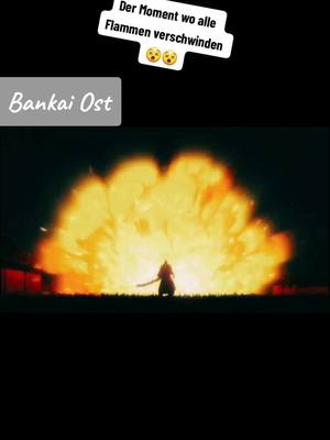 A post by @anime.d.arc on TikTok caption: #fypシ゚viral #viral_video #bleach #bleachmoments #bleachbankai #bankai #anime #animes #animeedit #shonen #otaku #deutsch #synchro 