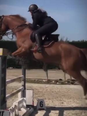 A post by @mariep.mrx on TikTok caption: Miss this time ❤️ #horses 