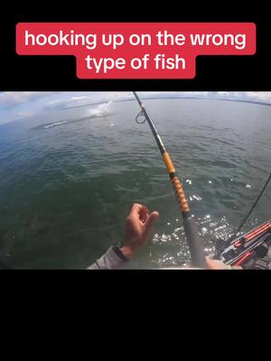 A post by @daily_dose_of_fishing on TikTok caption: The man in the video is Rick Austin. He had been fishing for striped bass off in thr Bay of Fundy off the coast of Canada, when a Great White Shark twice the size of his kayak grabbed hold of his line. For his own safety, he cut the line releasing the shark. #fyp #fishing #foryou #foryoupage #foru #funny #viral #shark 