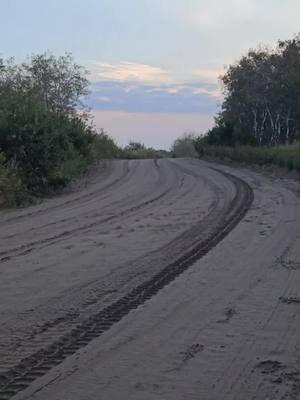 A post by @the_josh_uren on TikTok caption: I realize I never post or even drive my truck anymore been working so much that I never have time to take it out #saskatchewan #cartok #fyp #saskatoon #gmc #gmcyukon #denali 