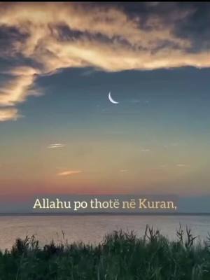 A post by @mario_marsi77 on TikTok caption: #fyp #videoviral #fejaislame☝🕋🍀🕌🕊🤍💞♥️🥀