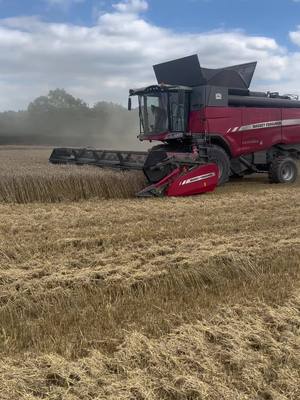 A post by @harry_woodall_18 on TikTok caption: #fyp #ukfarming #masseyferguson #getfarming #thebest 