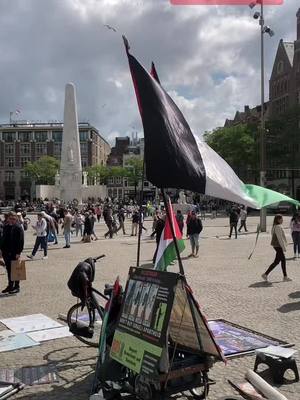 A post by @haboub0101 on TikTok caption: #فلسطين #فلسطينيه #هولندا🇳🇱 #amsterdam 