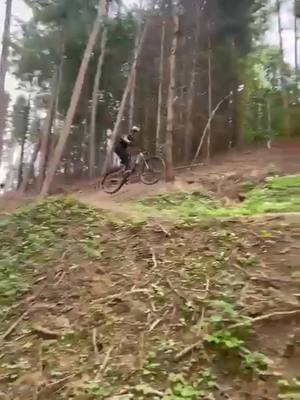 A post by @nils_smtb on TikTok caption: #manual #mtb #fypシ #viral #paulaner #whip #flowtrailgünzburg