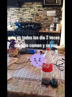 A post by @slsp1065 on TikTok caption: limpiando mi cosina#humor #tik_tok #parati #amor