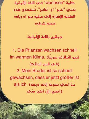 A post by @deutschlernen.6 on TikTok caption: تعلم كل يوم كامة المانية مع امثلة #deutschlernen🇩🇪 #learngerman #تعلم_اللغة_الالمانية 