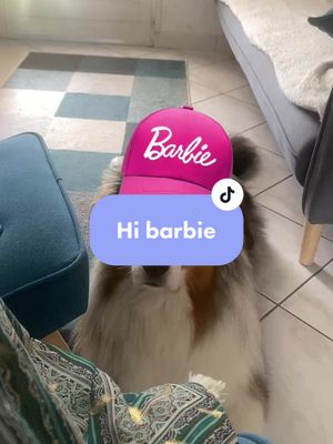 A post by @paupiette_bilou on TikTok caption: Hi barbie 🐕 🩷#barbie #hibarbie #chien #humour #barbiegirl #BarbieMovie #barbiemovies