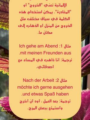 A post by @deutschlernen.6 on TikTok caption: تعلم اللغة الالمانية بسهولة ومجانا #learngerman,#deutschkurs,#немецкий,#deutschlernen🇩🇪 #المانيا_السويد_النمسا_النروج_دينيمارك 