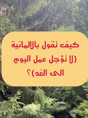 A post by @deutschlernen.6 on TikTok caption: تعلم اللغة الالمانية بسهولة و مجانا  @تعلم اللغة الالمانية #deutschlernen🇩🇪 #learngerman #تعلم_اللغة_الالمانية #المانيا_تركيا_سوريا_لبنان_العراق #neymar 