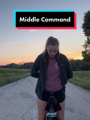 A post by @mywildiris_ on TikTok caption: The middle command is super easy to teach and can be a great tool for comfortably having your dog in public settings!  Another thing worth noting: people are less likely to try to pet your dog if they’re in between your legs lol #dogtrainingtips #dogtrainingtricks #dogtricks #dogtrainer #dogmomlife #dogowner #middlecommand #australianshepherd #aussie #DogTraining