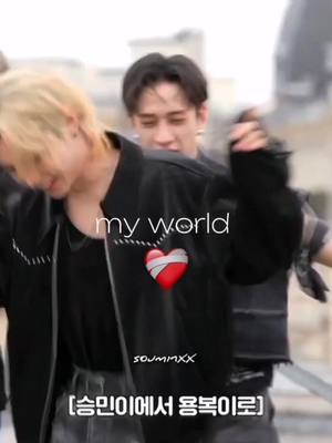 A post by @souminxx on TikTok caption: my world#straykids #стрейкидс