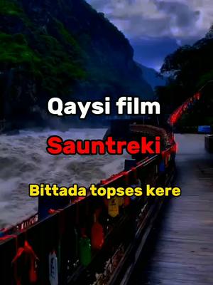 A post by @shodiyev_tiktok on TikTok caption: TOPGANLAR BITTA LAYK❤ #SOUNTREK #SOUND #fyp #foryou #foryoupage #VIRAL #kino 