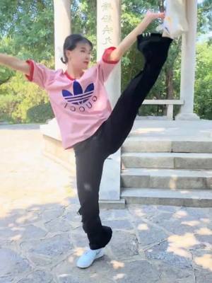 A post by @taichiman7895 on TikTok caption: The body is like a dragon, the legs are like arrows, the eyes are like meteors and the hands are like electricity.#Kungfu #Martial #Tai #For 