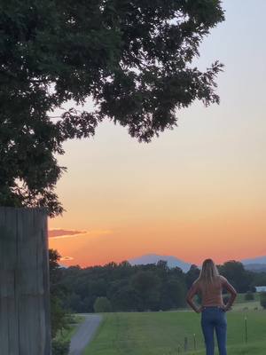 A post by @tarayakisauce on TikTok caption: Never not excited by deer #lyh #blueridgemountains #Home