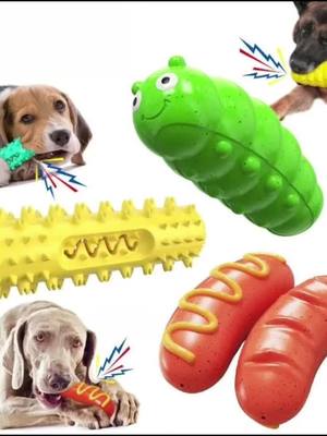 A post by @podiidog on TikTok caption: Tooth cleaning toys#dog #pet #dogsoftiktok #fyp #cute 